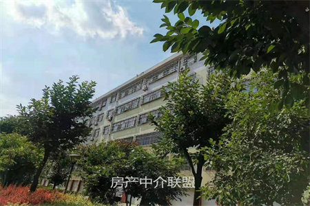 城东尚善文苑3室2厅2卫125m2毛坯房